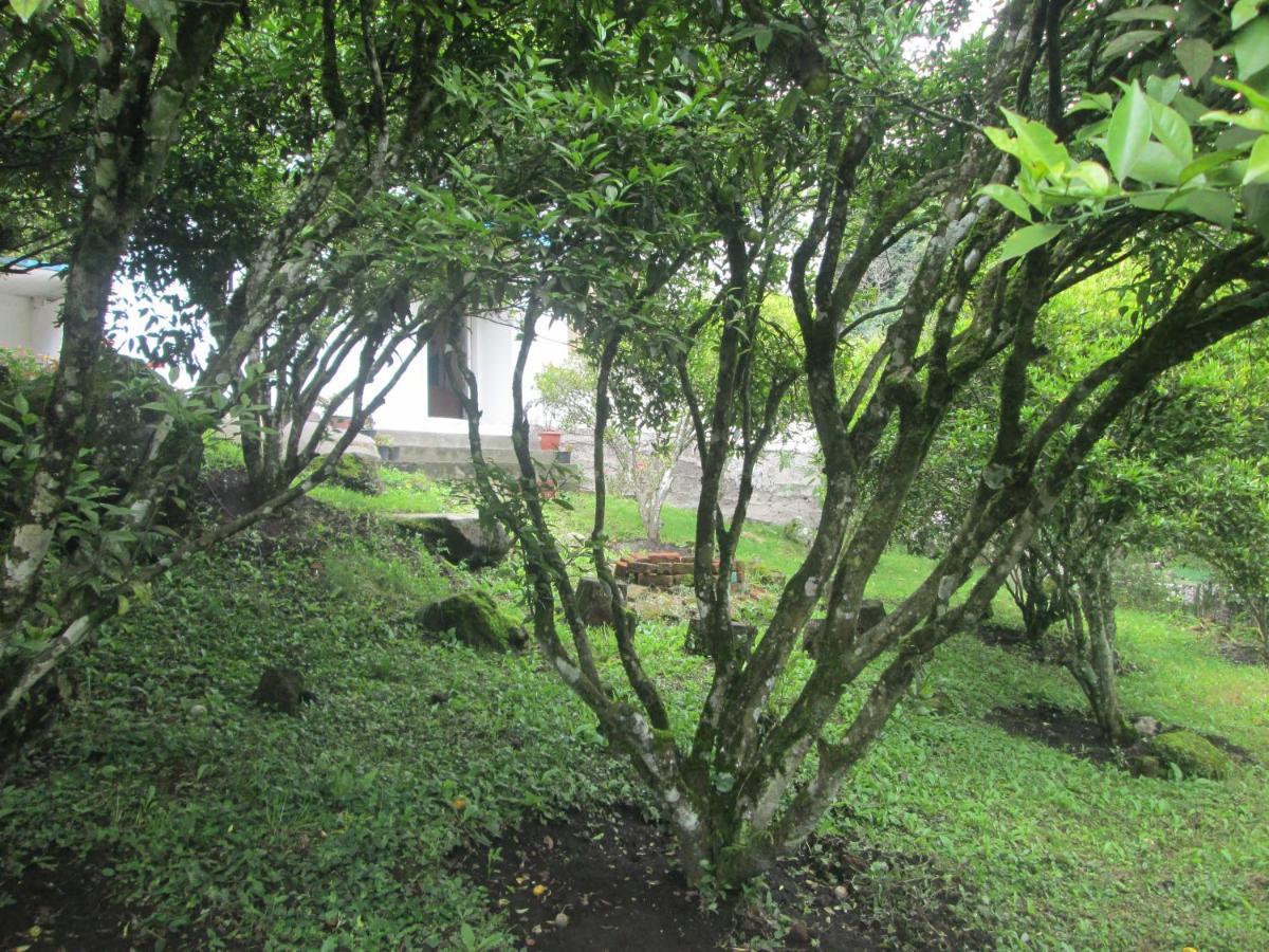 Casa Martin En Banos De Agua Santa Βίλα Εξωτερικό φωτογραφία